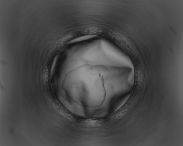 X0000090500326200708031214