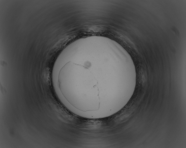 X0000090500328200708031214