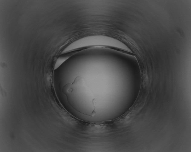 X0000090500329200708031214