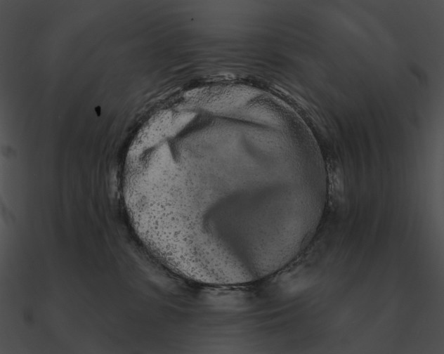 X0000090500331200708031214