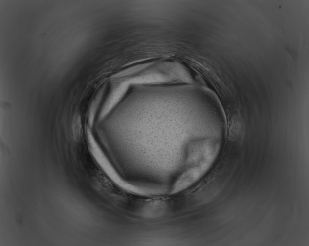 X0000090500335200708031214