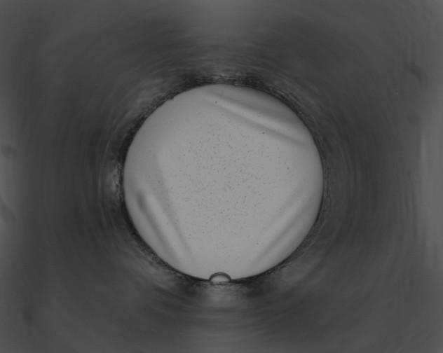 X0000090500336200708031214