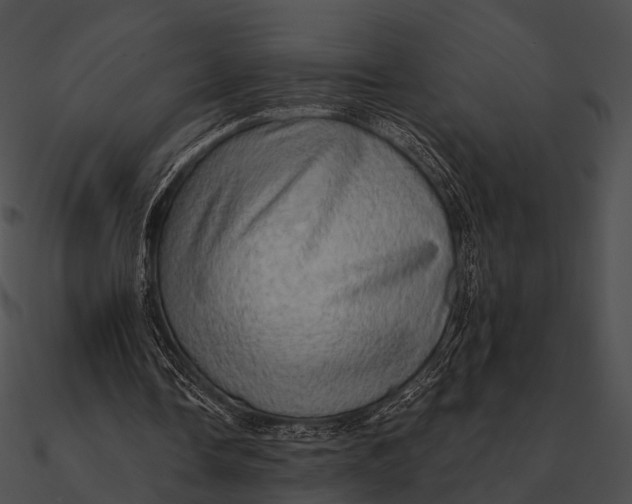 X0000090500338200708031214