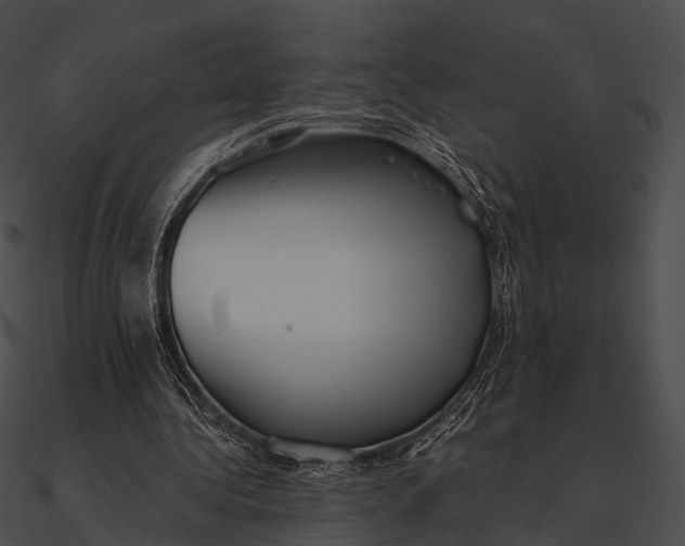 X0000090500340200708031214