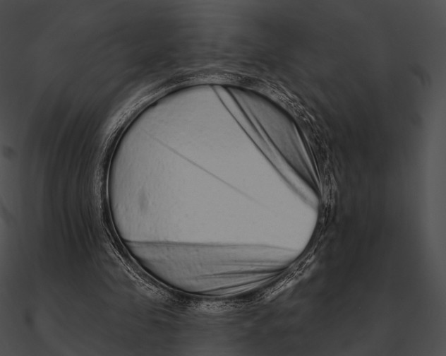 X0000090500341200708031214