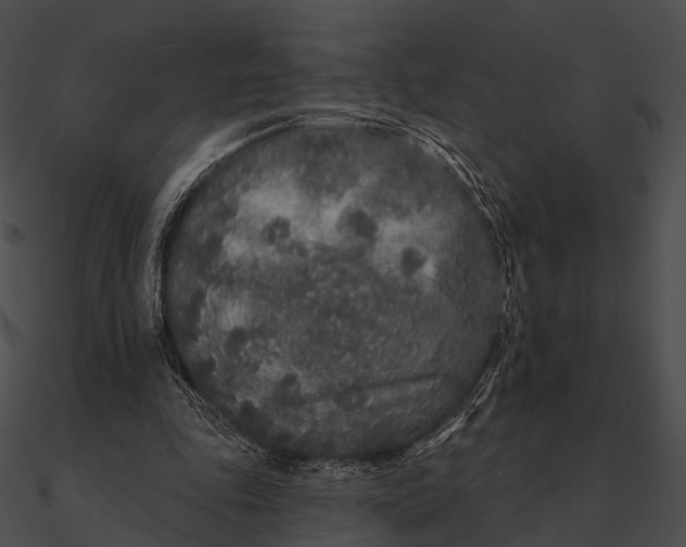 X0000090500343200708031214