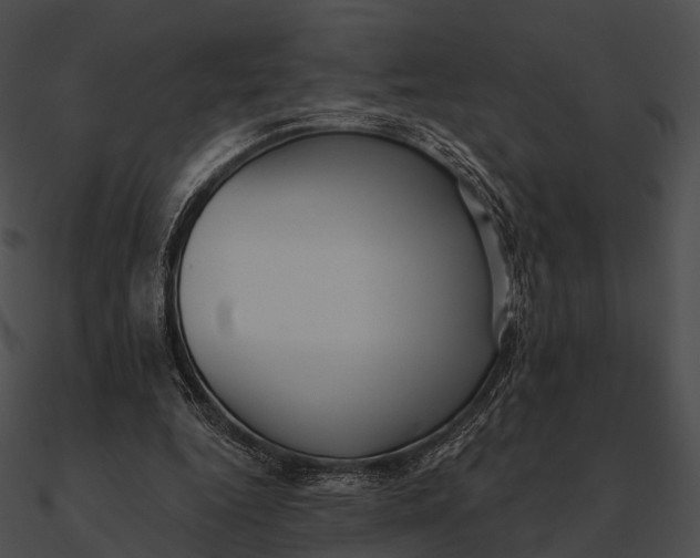 X0000090500344200708031214