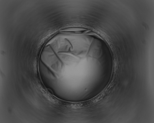 X0000090500345200708031214