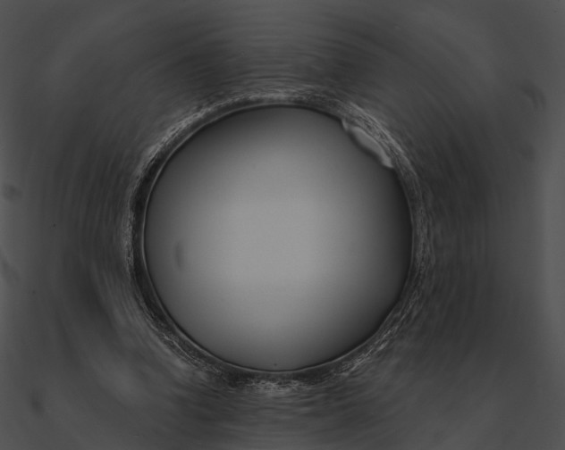 X0000090500346200708031214