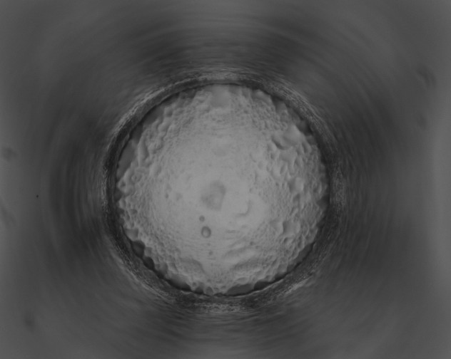 X0000090500347200708031214