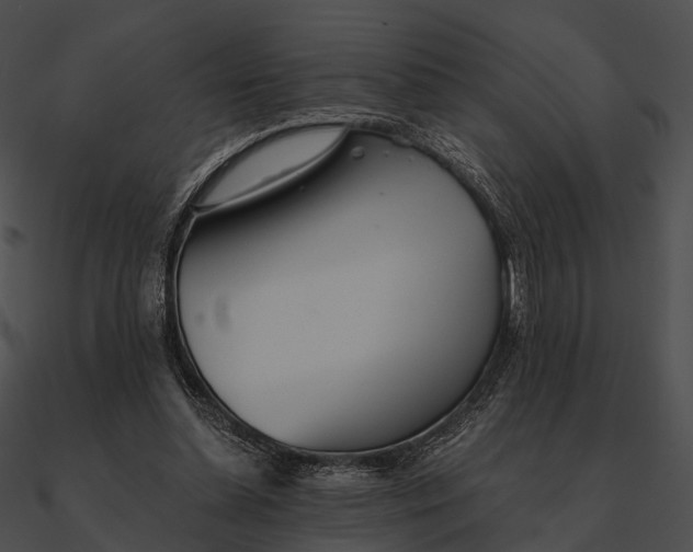 X0000090500348200708031214