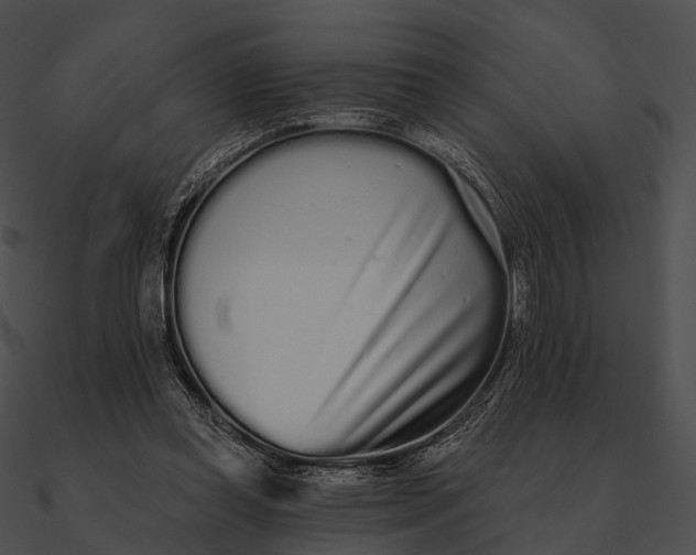 X0000090500349200708031214