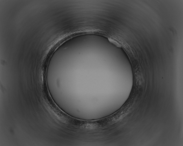 X0000090500350200708031214