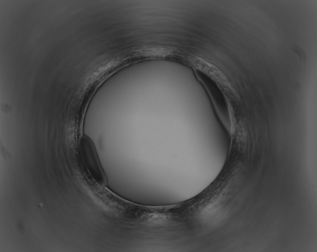 X0000090500352200708031214