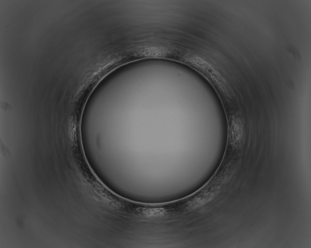 X0000090500355200708031214