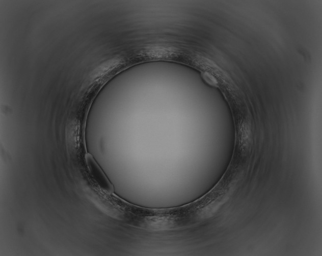 X0000090500356200708031214