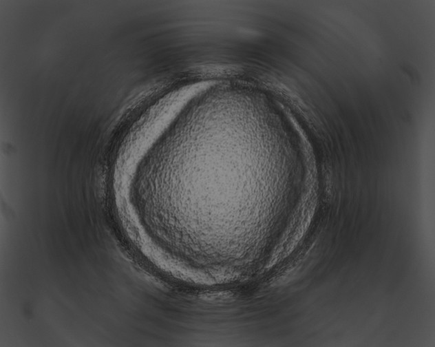 X0000090500357200708031214