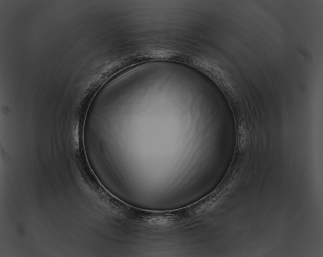 X0000090500358200708031214