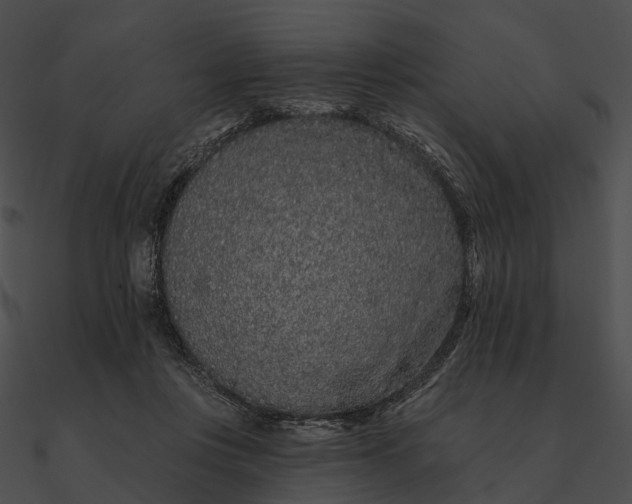 X0000090500359200708031214