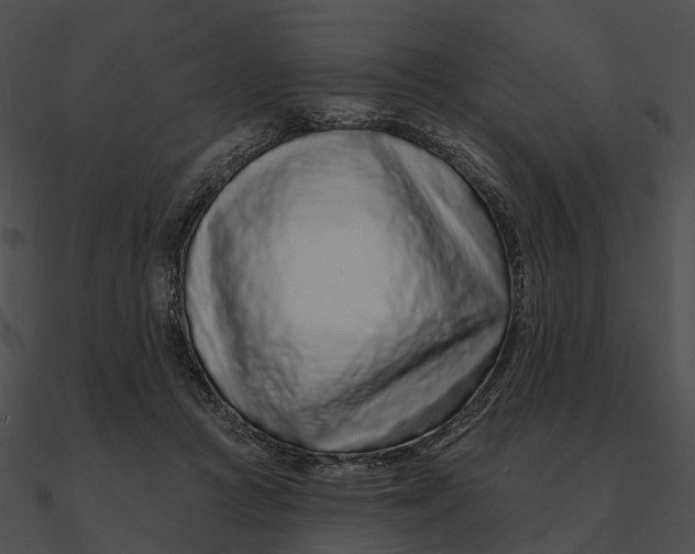 X0000090500361200708031214