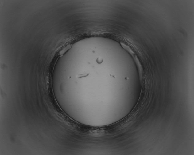 X0000090500362200708031214