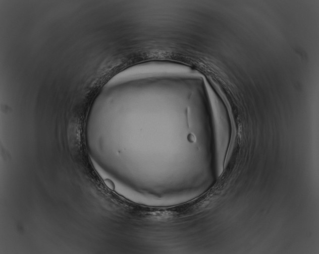 X0000090500363200708031214