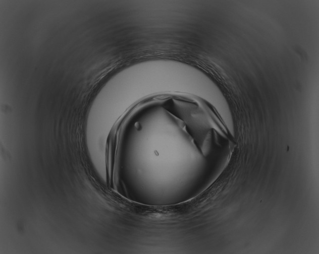 X0000090500364200708031214