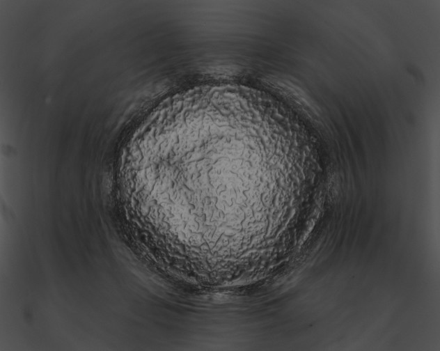 X0000090500365200708031214