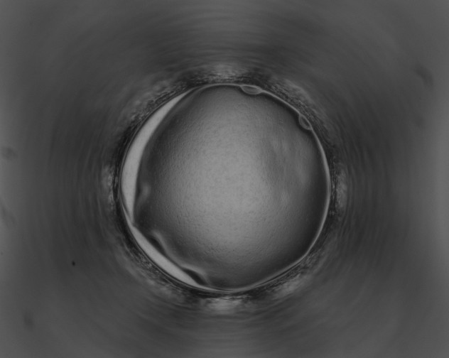 X0000090500366200708031214