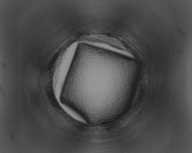 X0000090500367200708031214