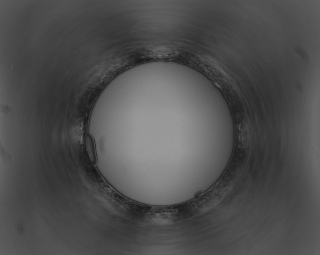 X0000090500368200708031214