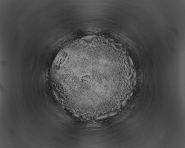 X0000090500369200708031214