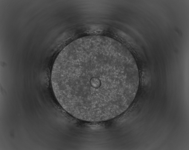 X0000090500370200708031214