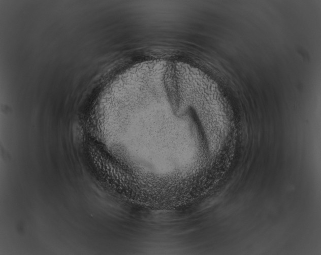 X0000090500371200708031214