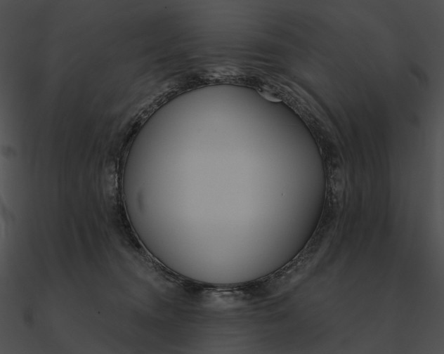 X0000090500372200708031214