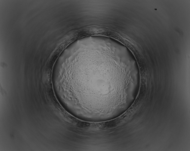 X0000090500373200708031214