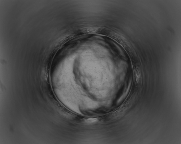 X0000090500374200708031214