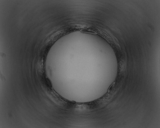 X0000090500376200708031214