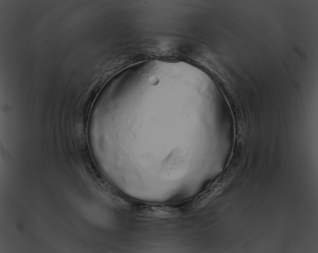 X0000090500377200708031214