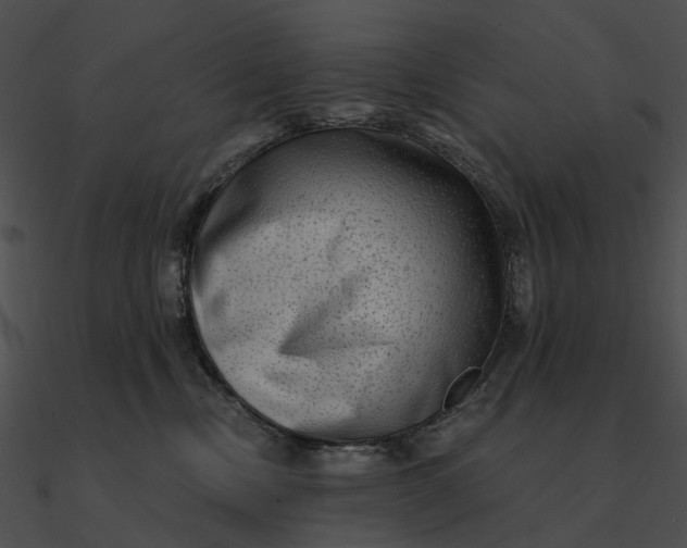 X0000090500378200708031214