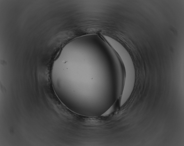 X0000090500380200708031214