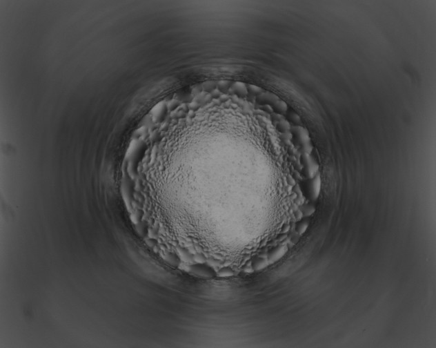 X0000090500381200708031214