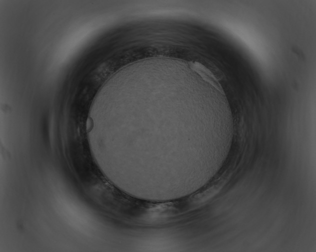 X0000090500382200708031214