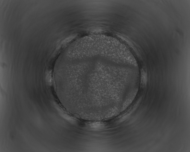 X0000090500383200708031214