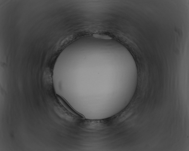 X0000090500384200708031214