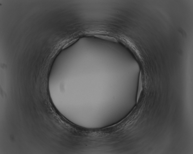 X0000090500385200708031214