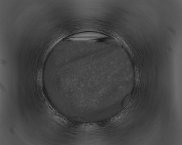 X0000090500386200708031214