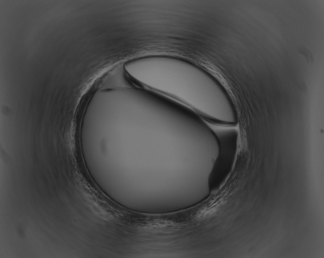 X0000090500387200708031214