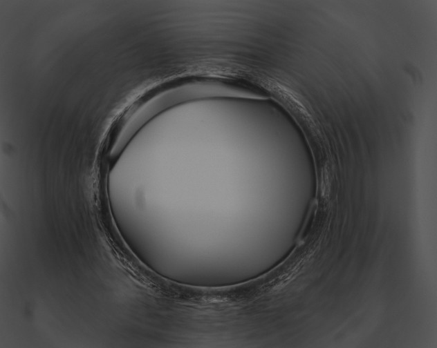 X0000090500388200708031214