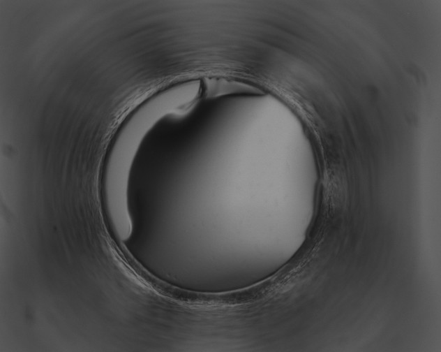 X0000090500389200708031214